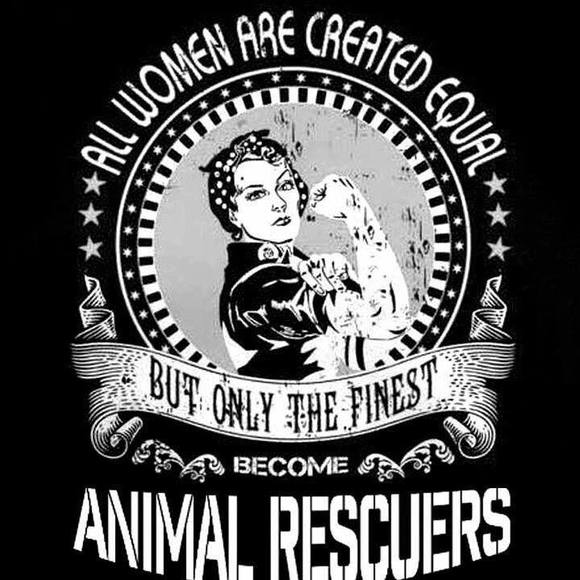 Meet your Posher, Renée - Picture 1 of 1